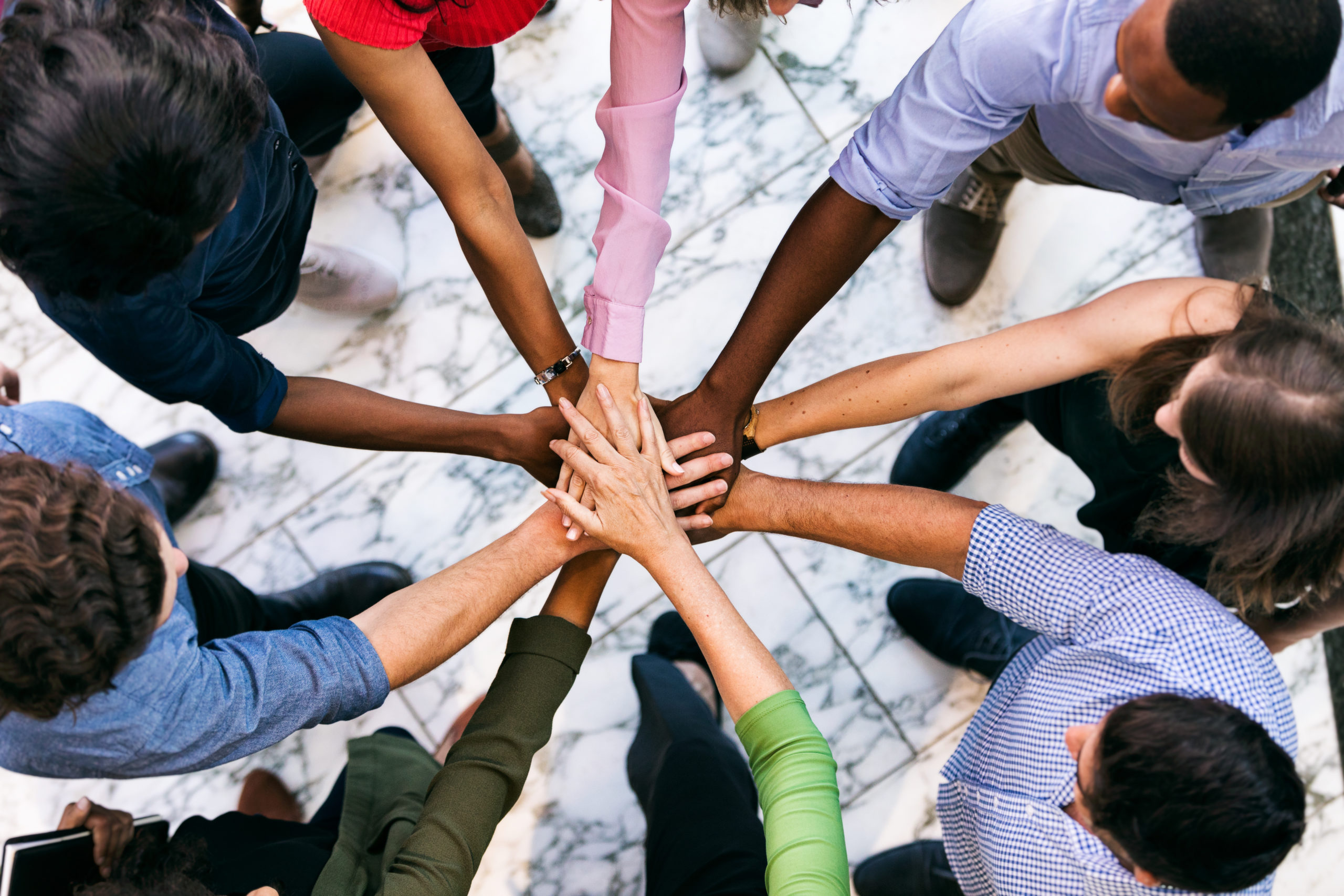 A diverse team cheer each other on.