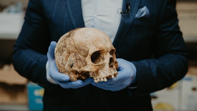 an archeologist holding a human skull