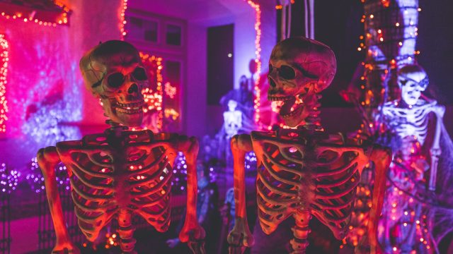 Skeletons outside of a house decorated for trick or treating on Halloween.