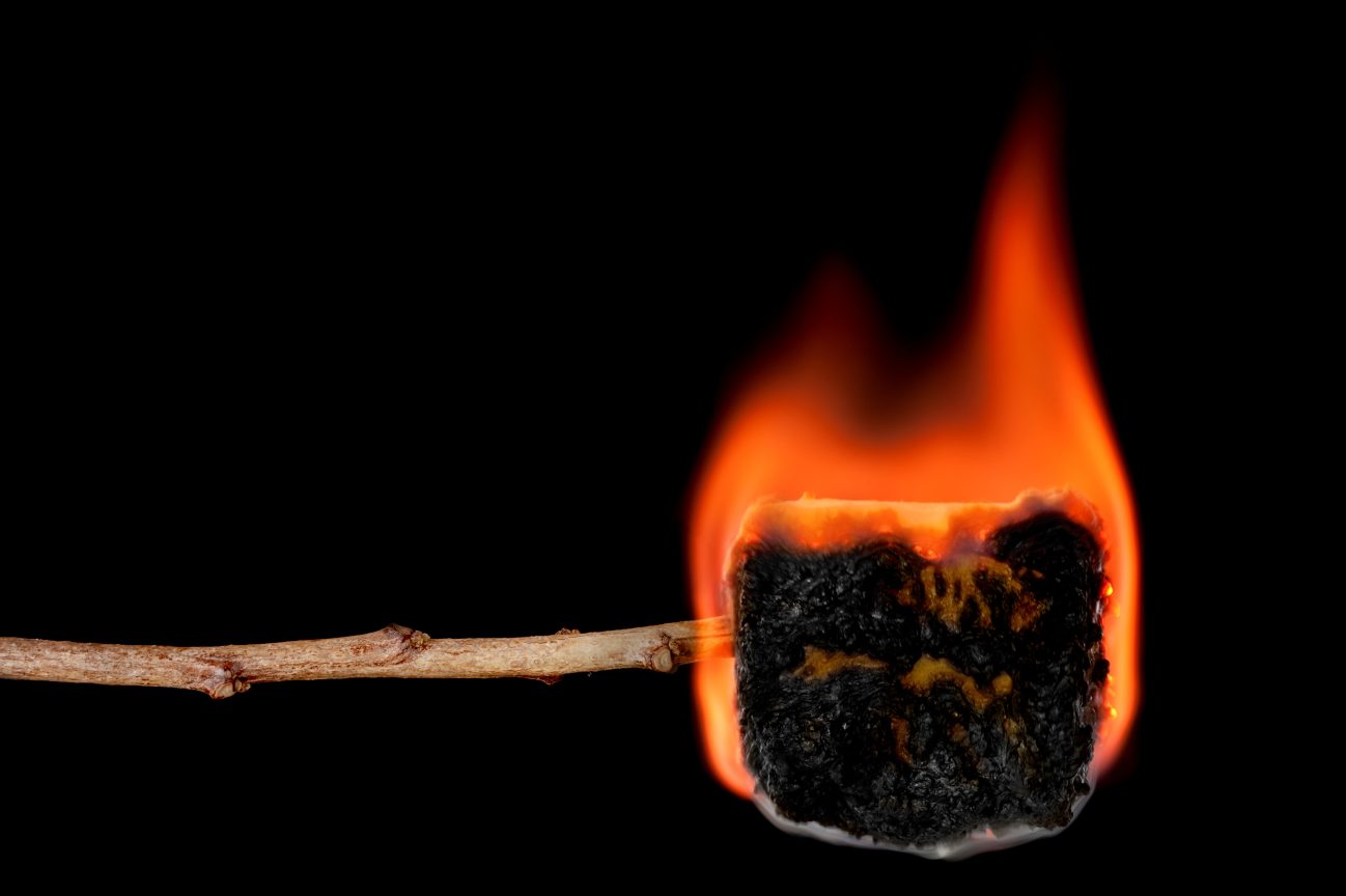 A marshmallow burns at the end of a camper's stick.