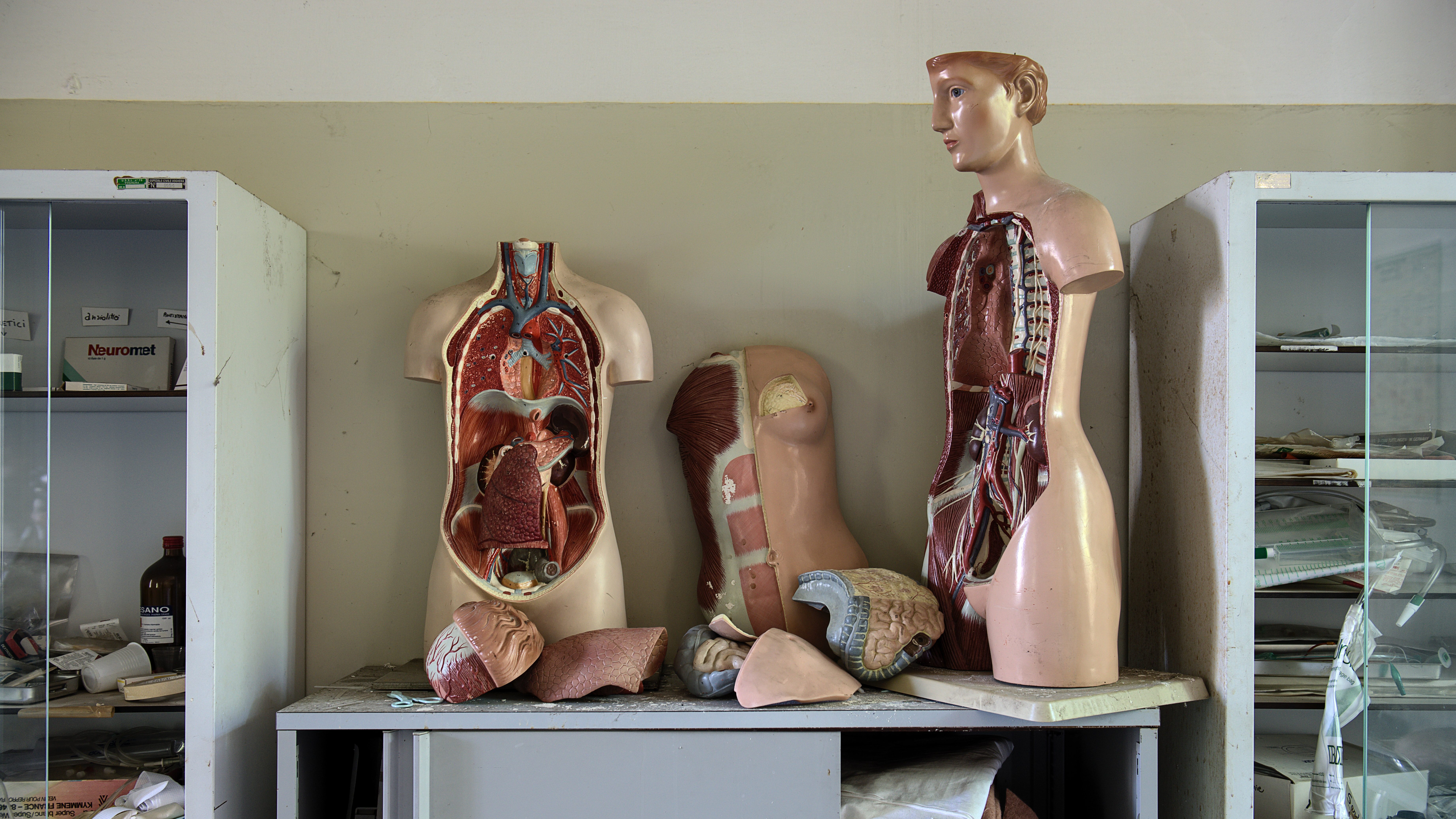 Plastic anatomical torsos in a classroom.