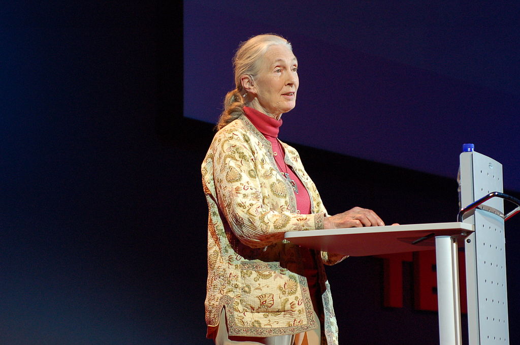 Jane Goodall, britische Verhaltensforscherin, auf der TEDGlobal 2007 in Arusha, Tansania.