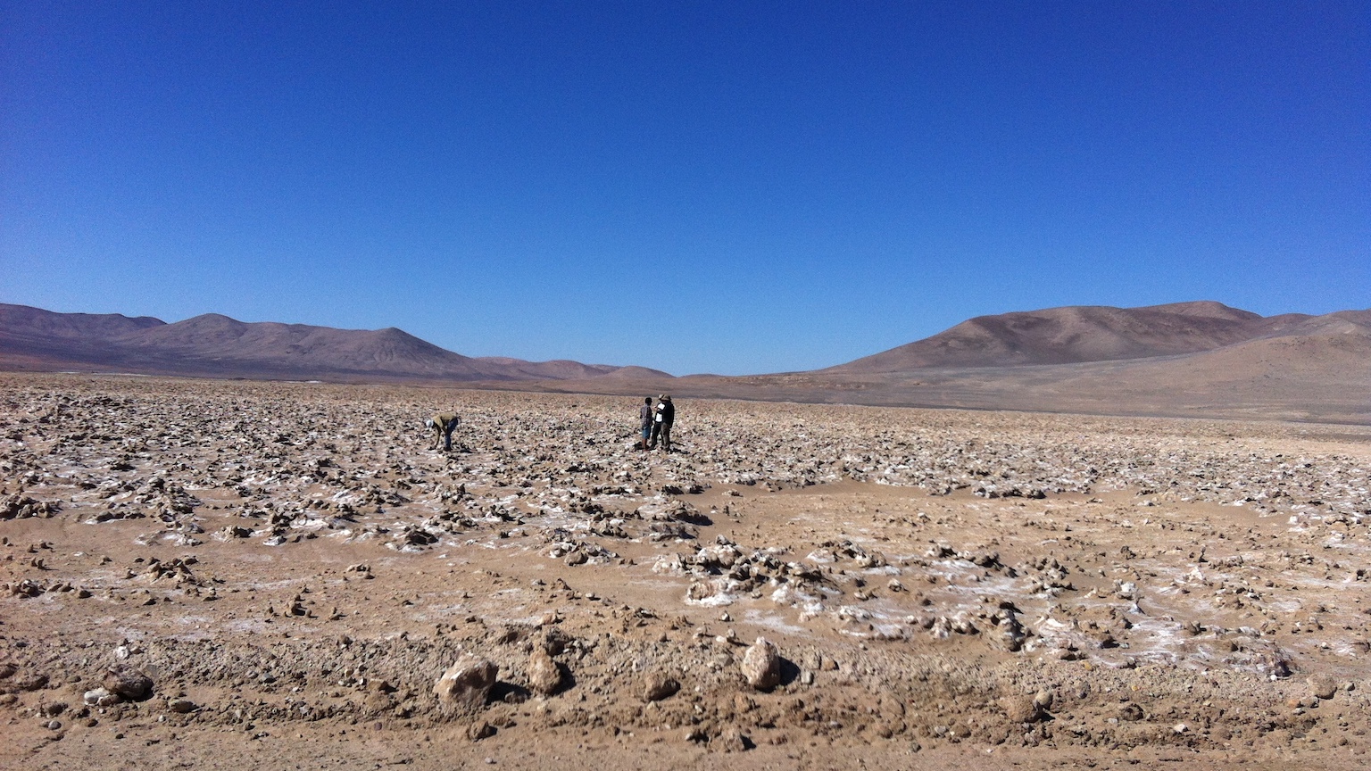 life on mars