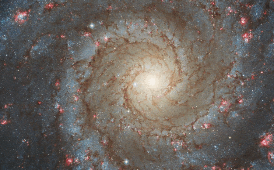 JWST phantom galaxy M74
