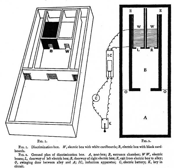 A diagram of the experiment box used by Robert M. Yerkes and John D. Dodson