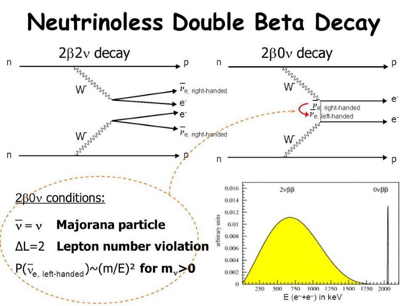 double beta decay neutrinoless majorana