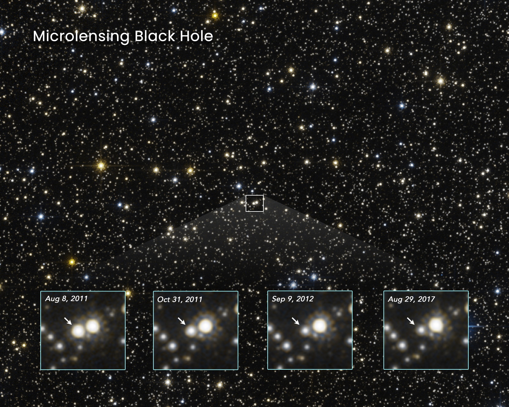 microlensing black holes