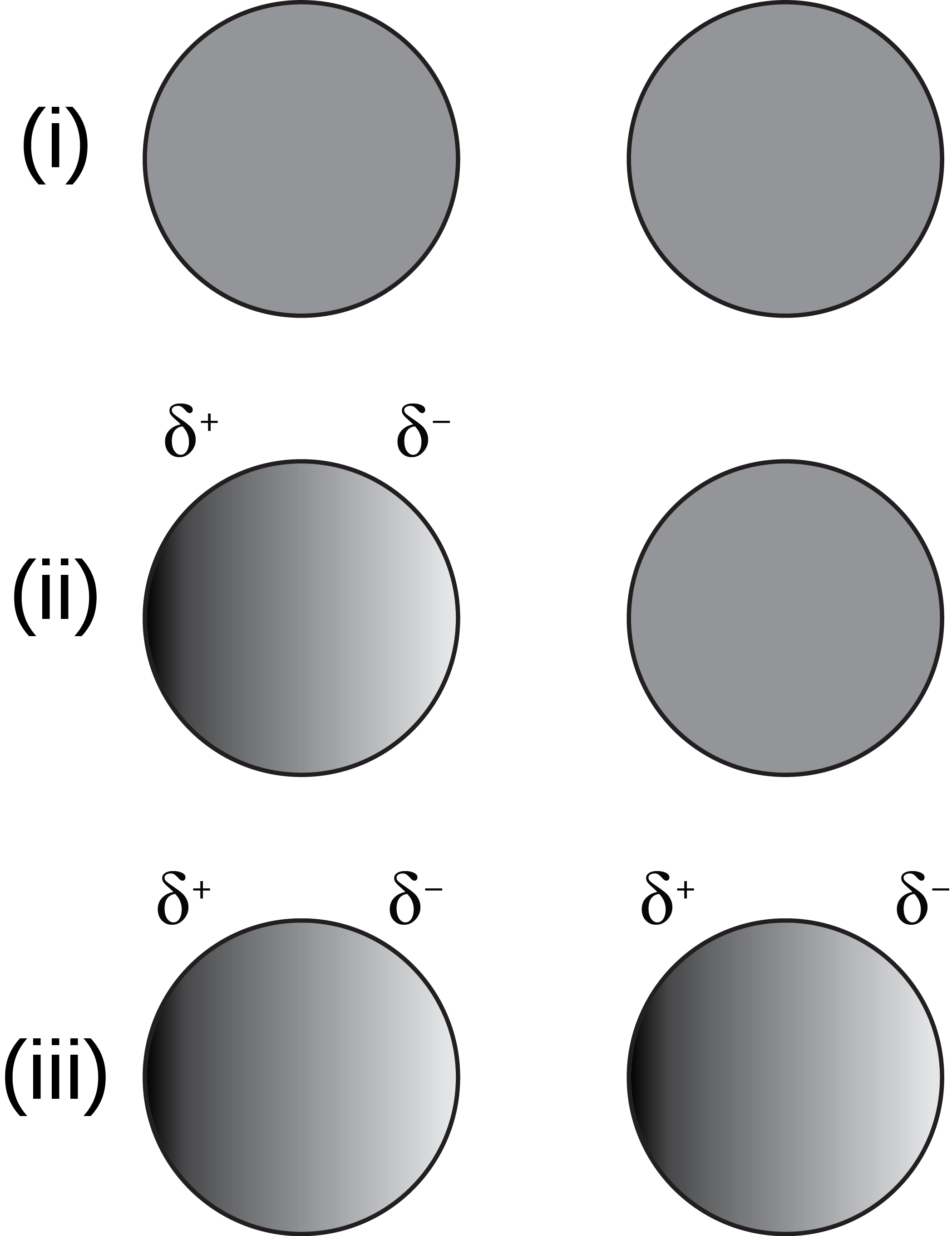 dipole polarization