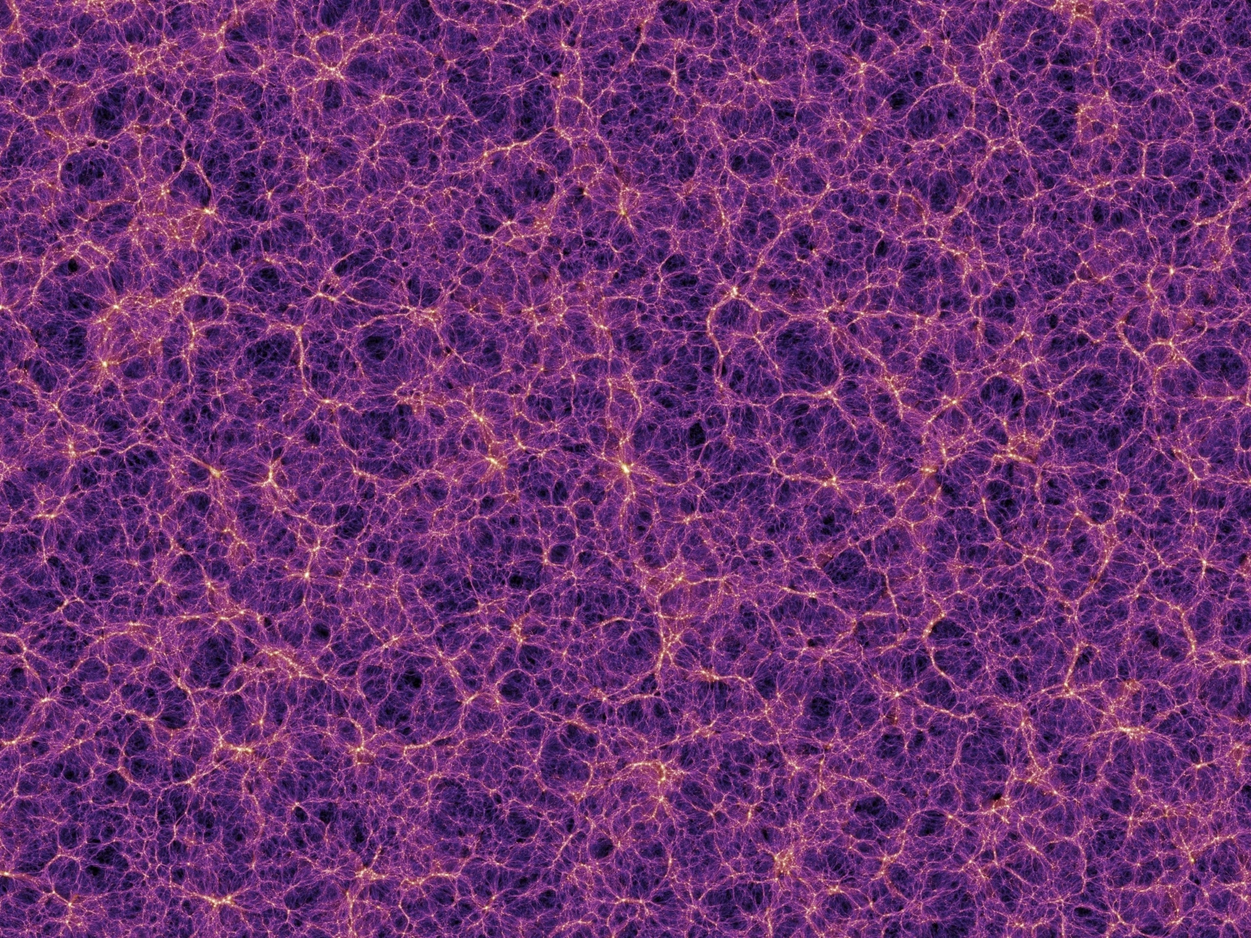 millennium simulation cosmic web slice