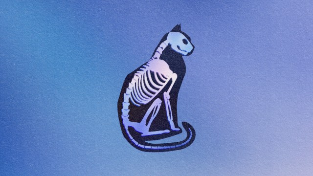 a quantum cat on a blue background.