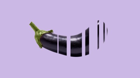 a black eggplant with a green stem sticking out of it.
