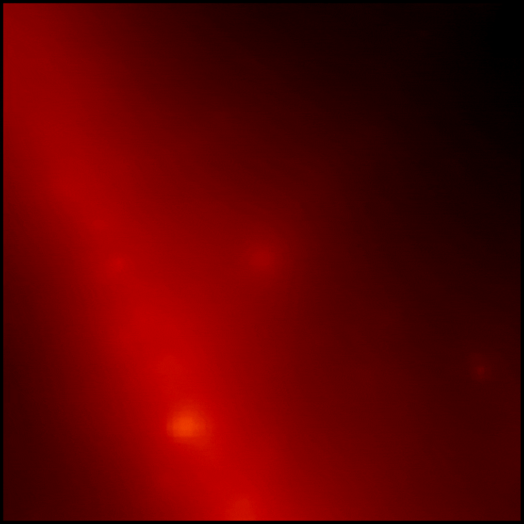 Fermi GRB 221009A LAT