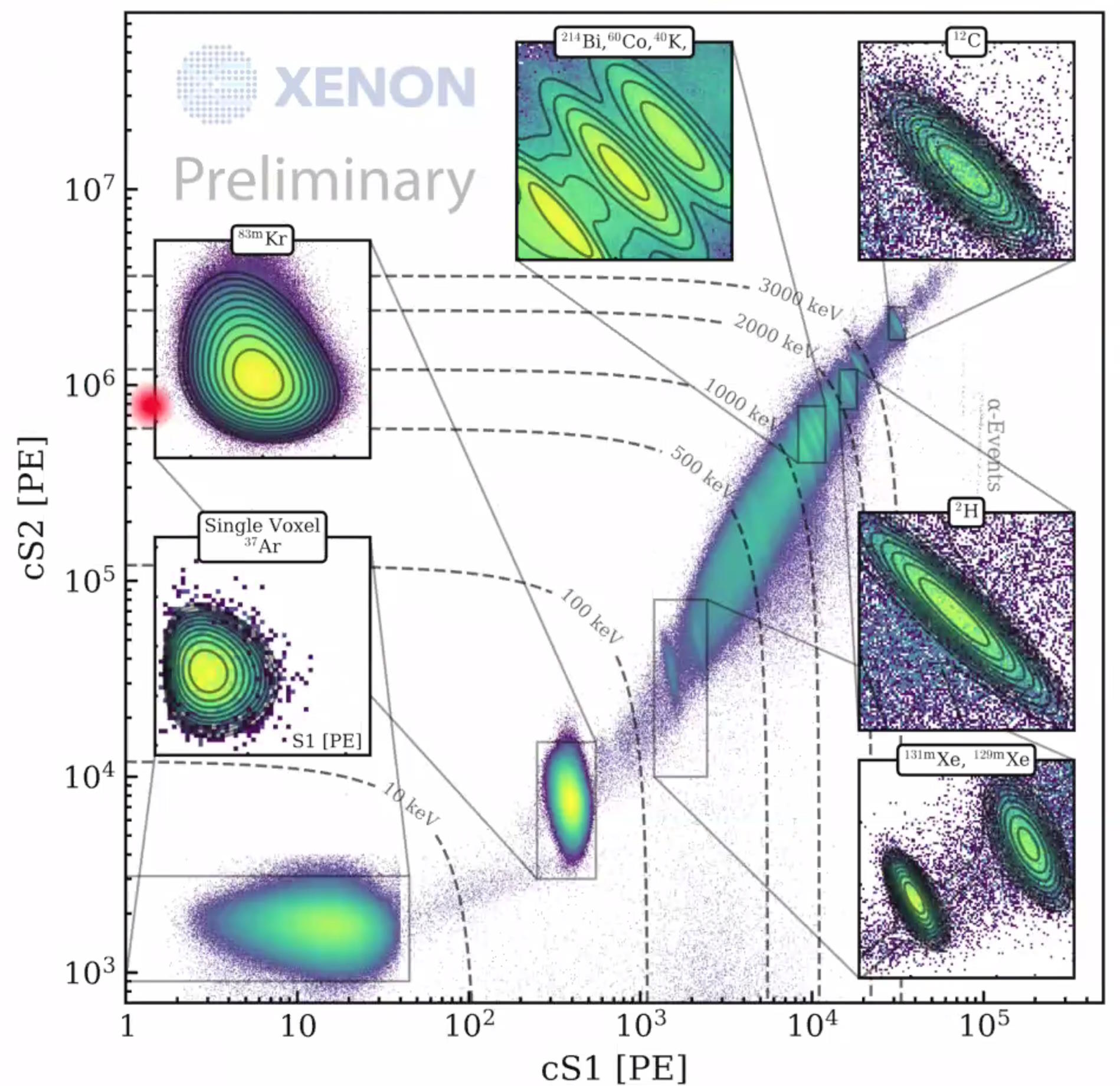 how xenon experiment calibrated radioactive sources