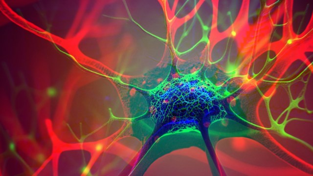 neuron illustration