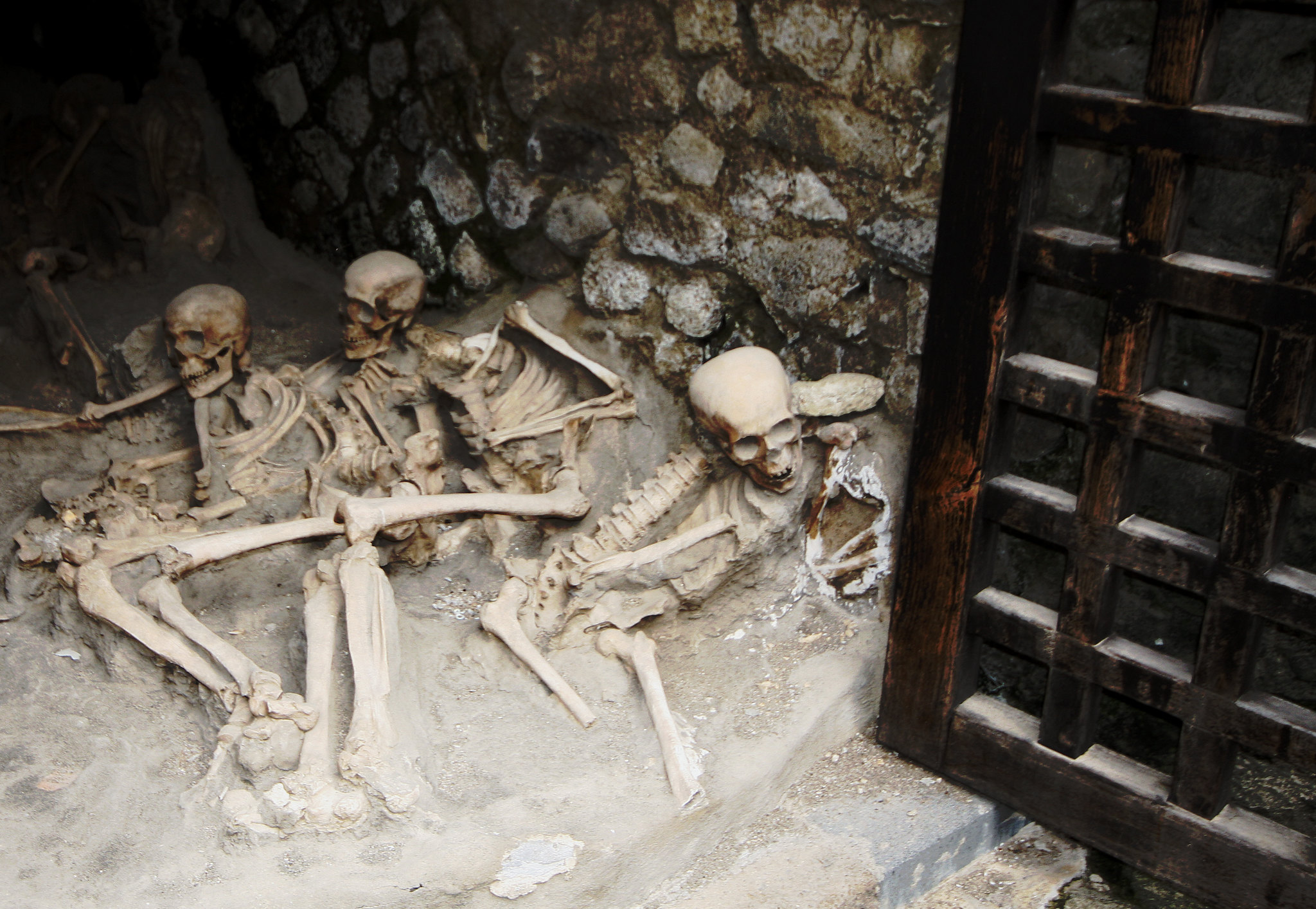 skeletons in the boat houses of herculaneum