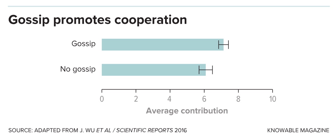 a bar graph with the words gossippromotes corporation and a bar graph with.