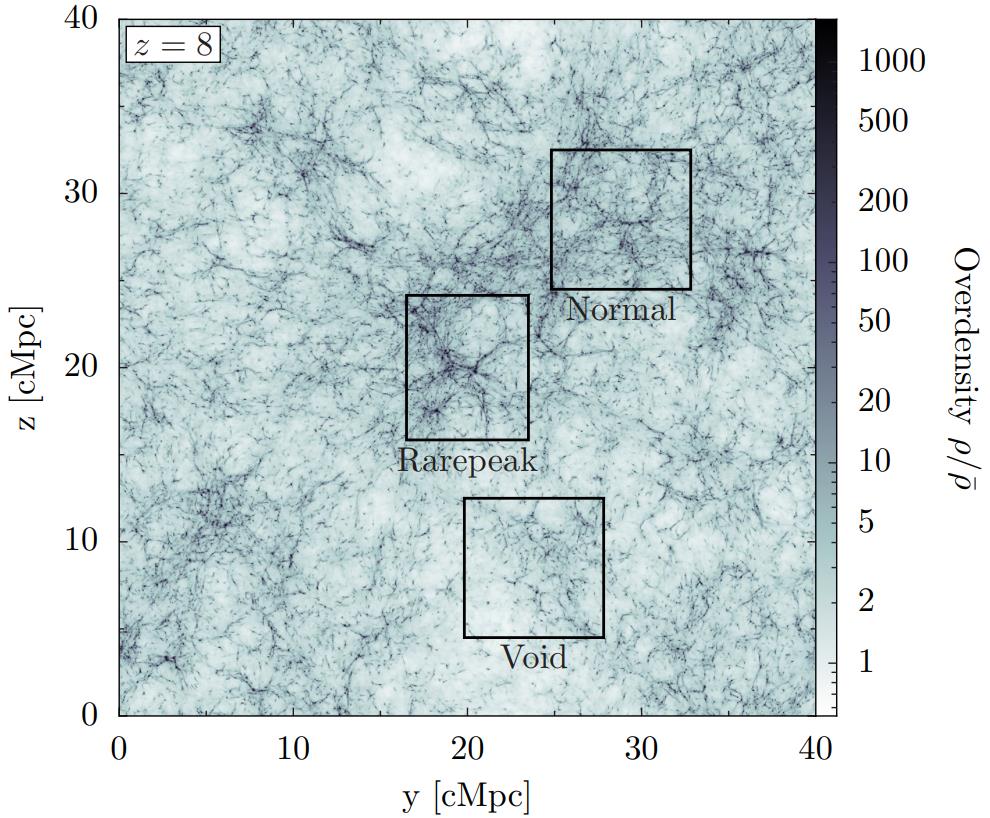 regions of various density renaissance dark matter simulations