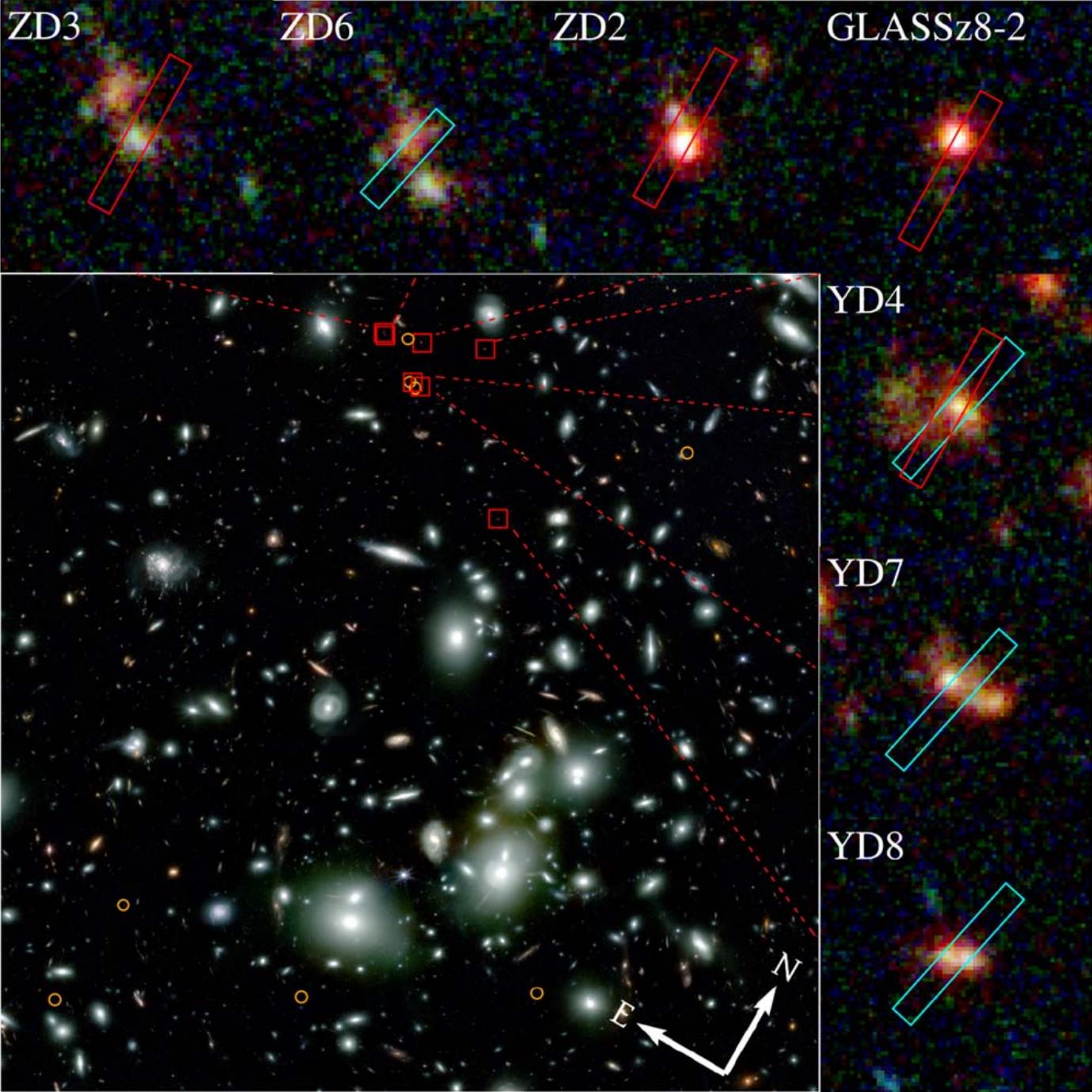 JWST most distant protocluster