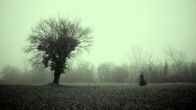 a black and white photo of a tree in a field.
