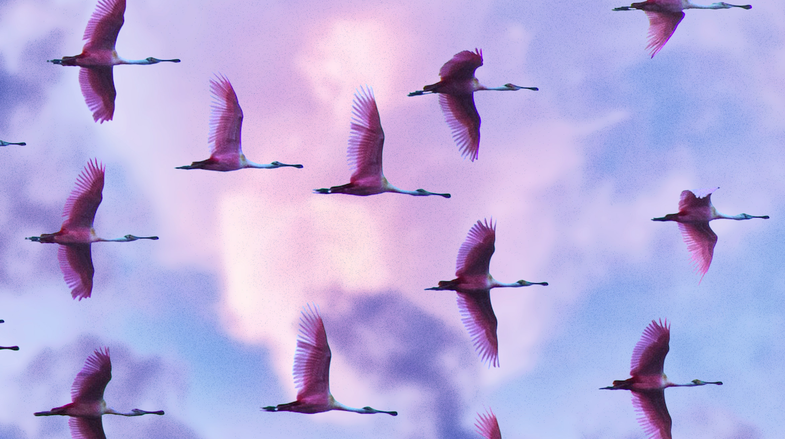 a flock of pink birds flying through a cloudy sky.