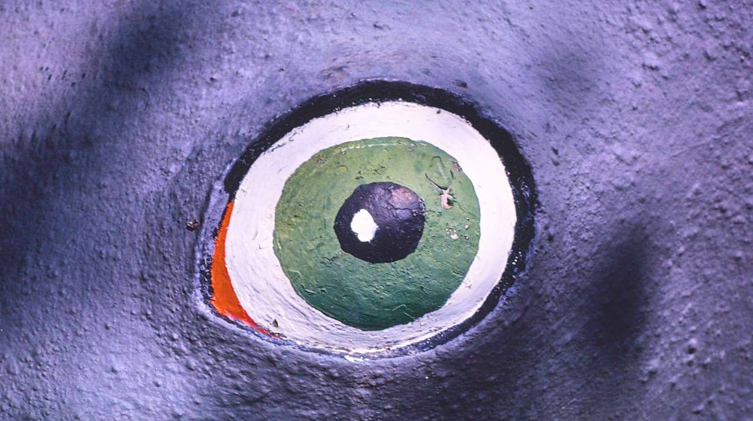 Close-up of a painted eye on a textured surface, featuring green, white, black, and a small area of orange.