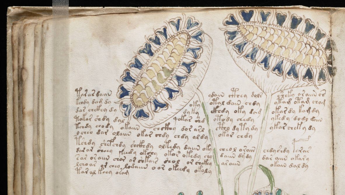an open book with a drawing of flowers on it.