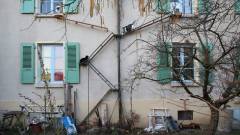 a building with green shutters and a cat sitting on the window sill.