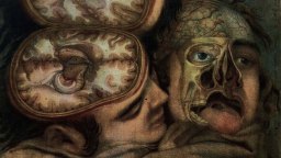 Two detailed anatomical illustrations show human heads: one sliced horizontally to reveal the brain, and the other showing exposed facial muscles, bones, and tissue.