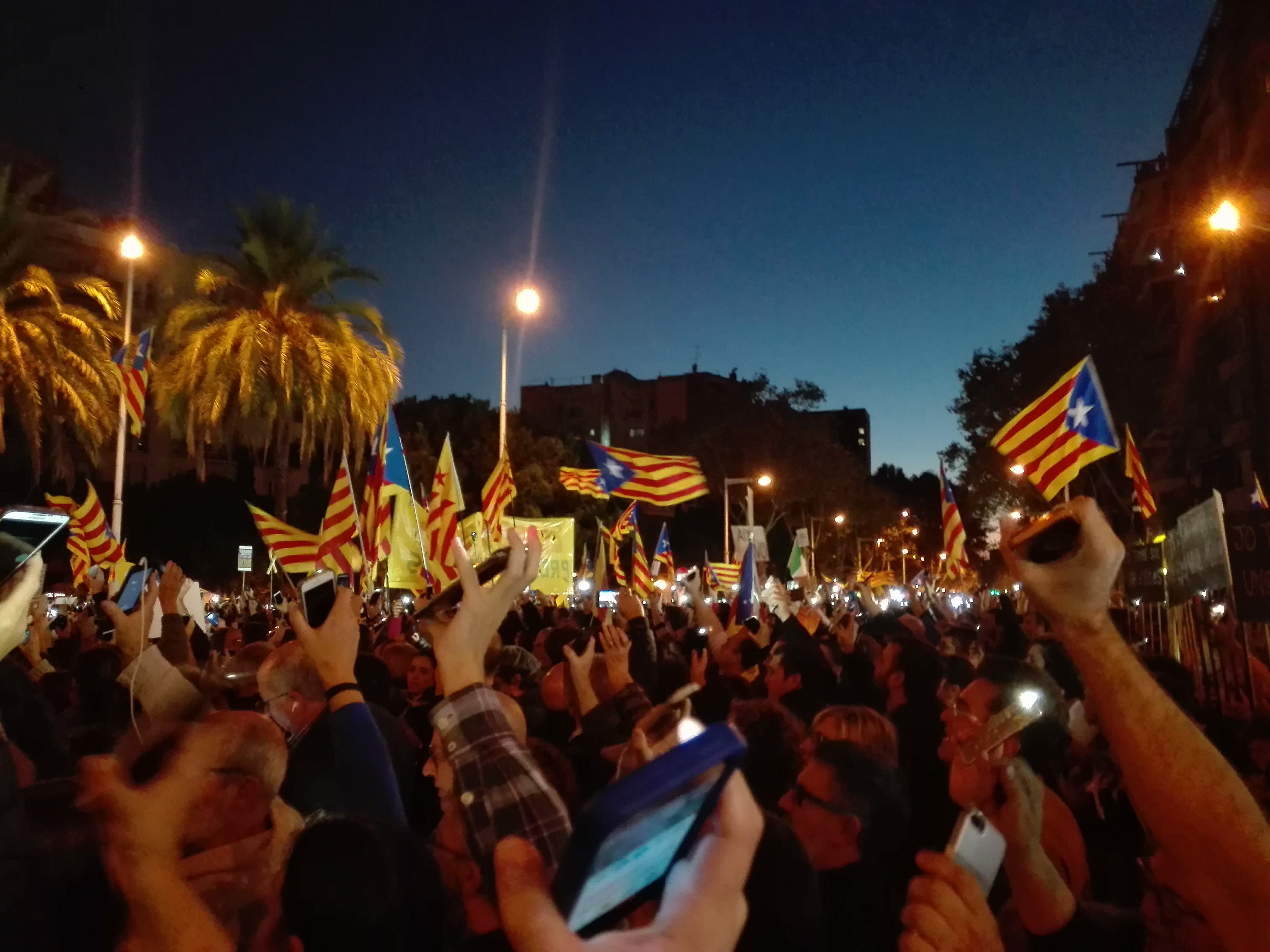 a crowd of people holding flags