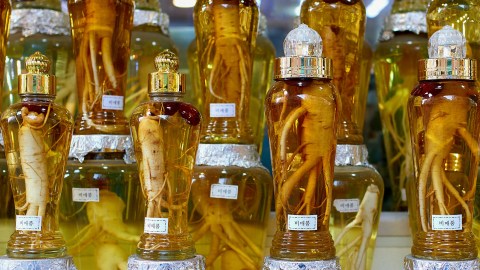 a row of traditional chinese medicine bottles with different kinds of oil in them.
