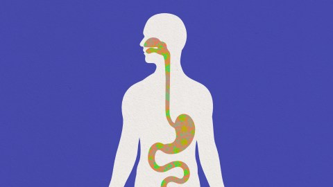 a drawing of a man with his gut microbiome highlighted.