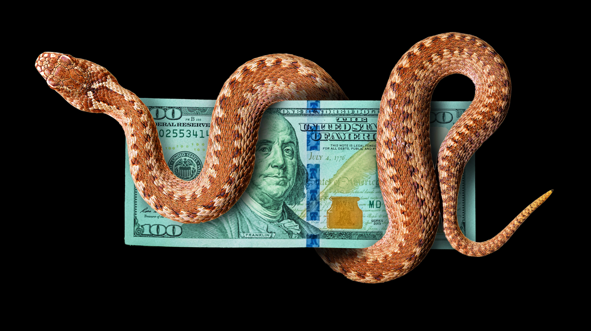 A snake is sitting on top of a dollar bill.