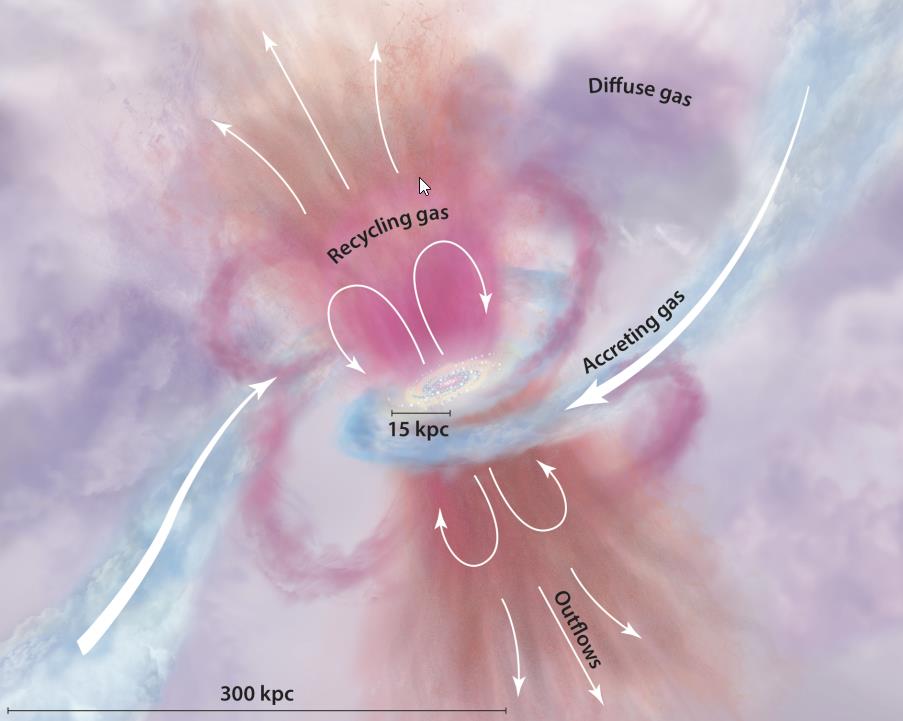 circumgalactic medium