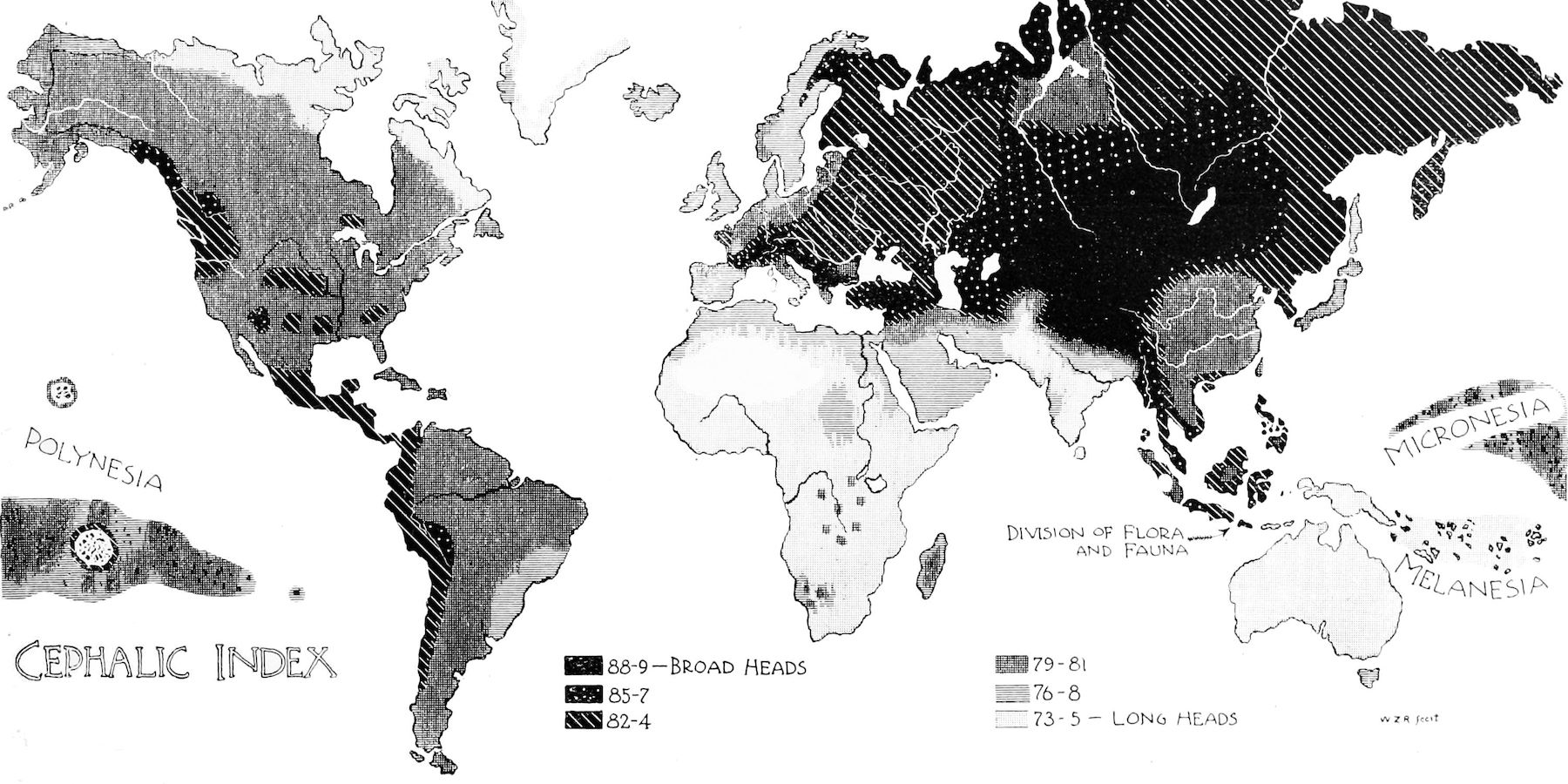Cephalic Index World Map