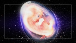 An image of a fetus in space.