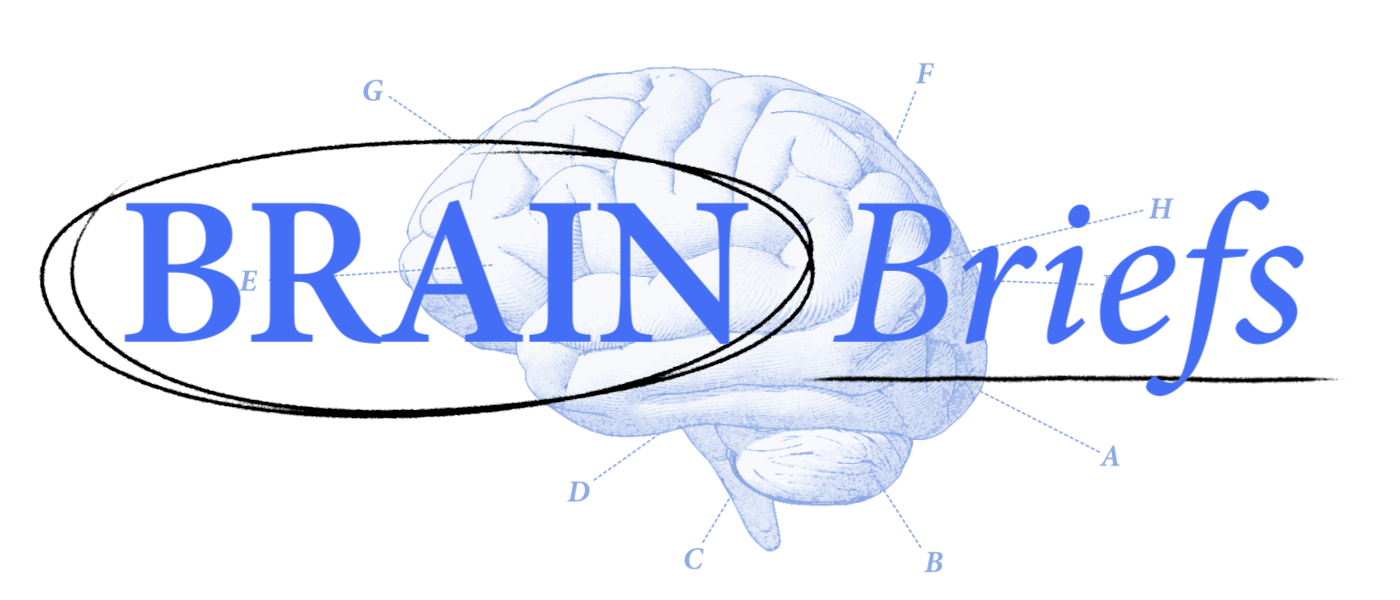 Illustration of a human brain labeled with letters, overlaid by the text "BRAIN Briefs" in large blue font.