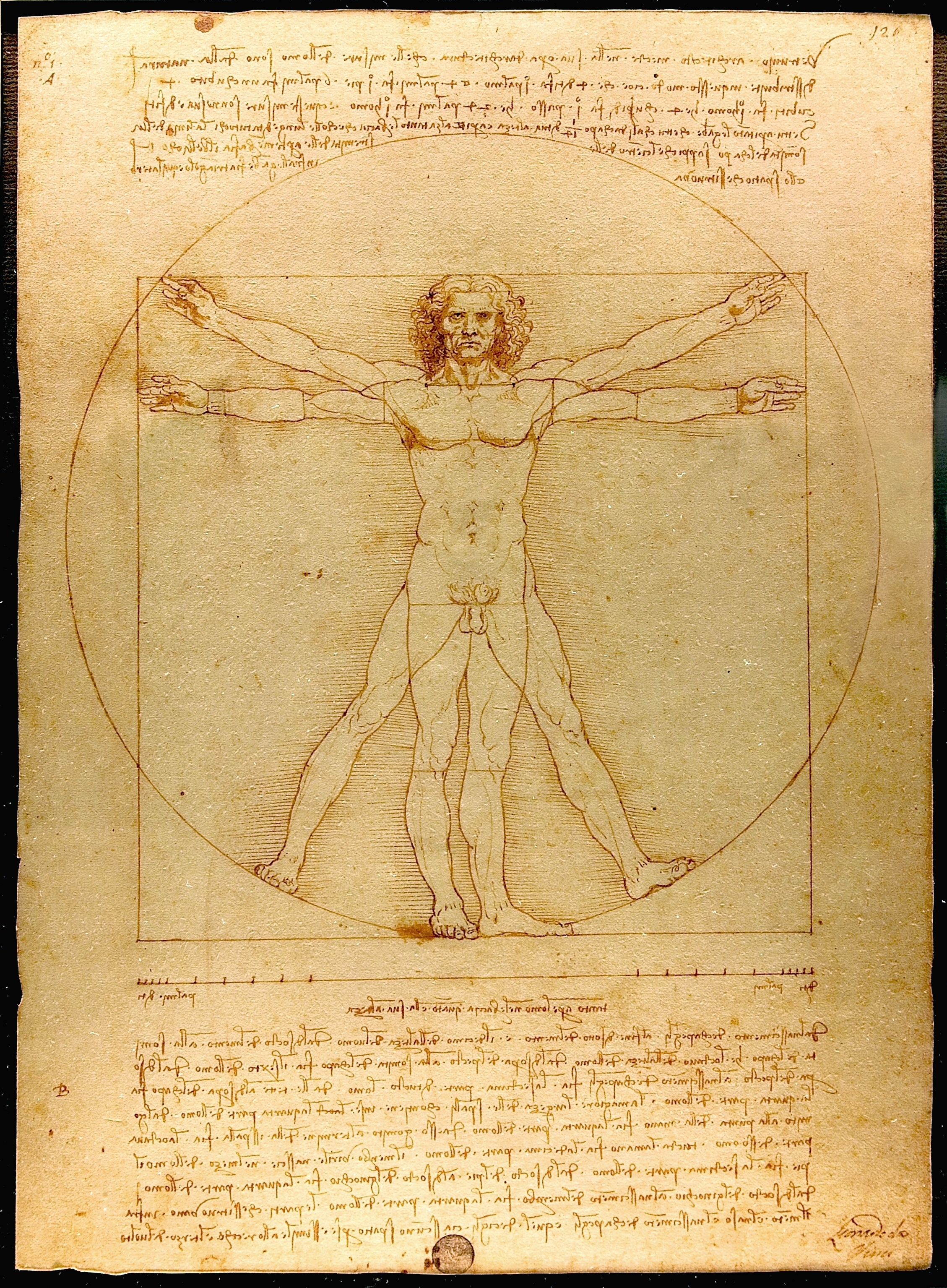 Leonardo Da Vinci's artistic study of the human body.