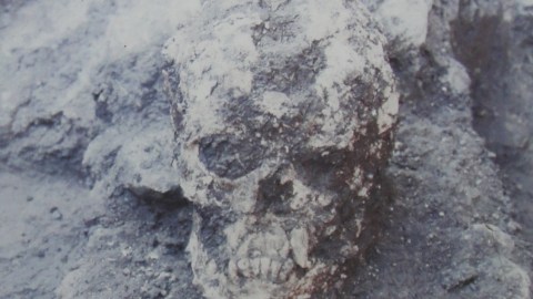A photo of a skull conjured through necromancy in a pile of dirt.