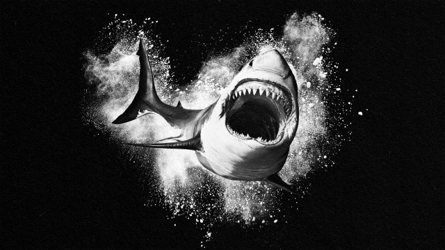 A black and white drawing of a **shark** with its mouth open.