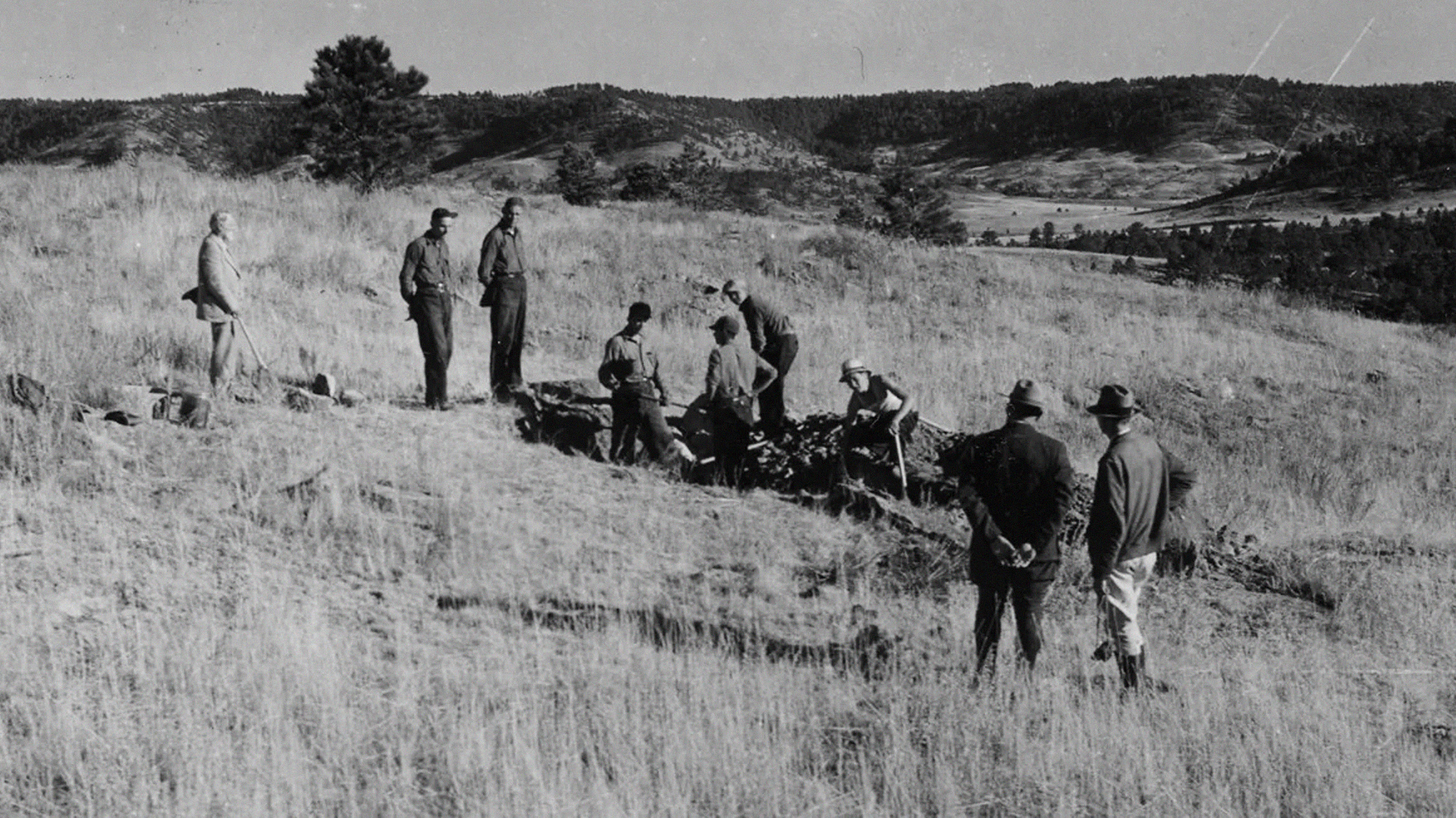 A group of men standing in a grassy area at Fossil Cycad National Monument.