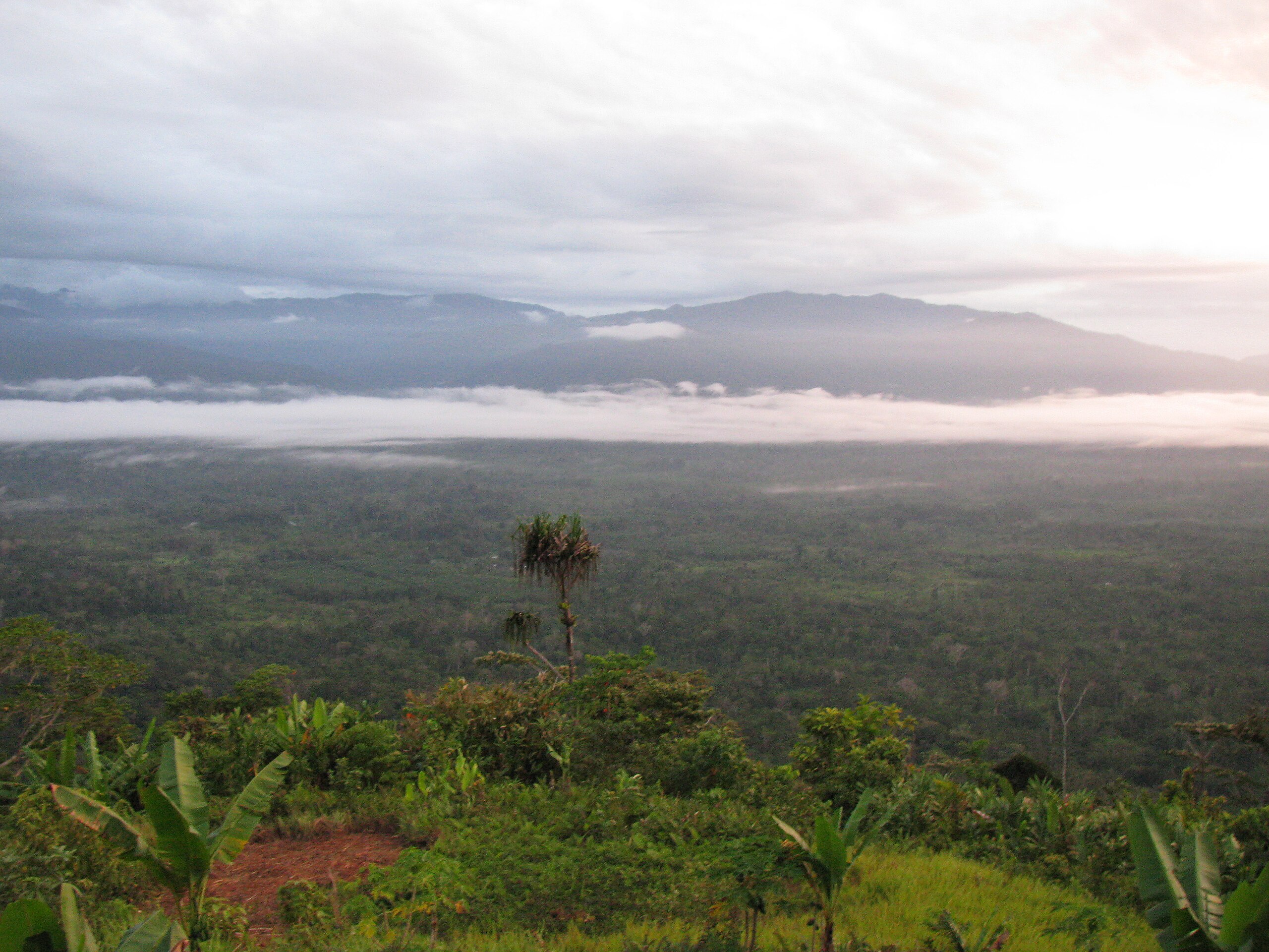 A cloudy sky over Papua New Guinea's lush green jungle.