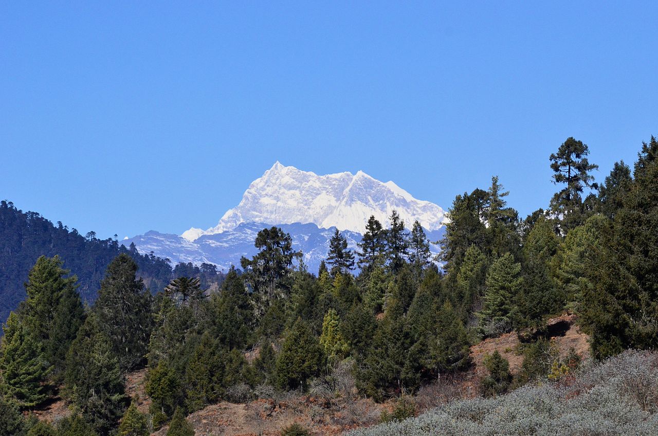 A snow capped mountain is seen from a hillside.
