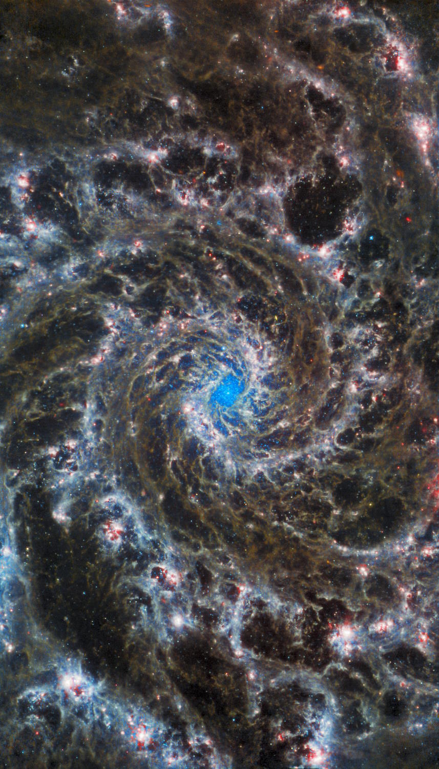 spiral galaxy M74 phangs phantom galaxy jwst miri