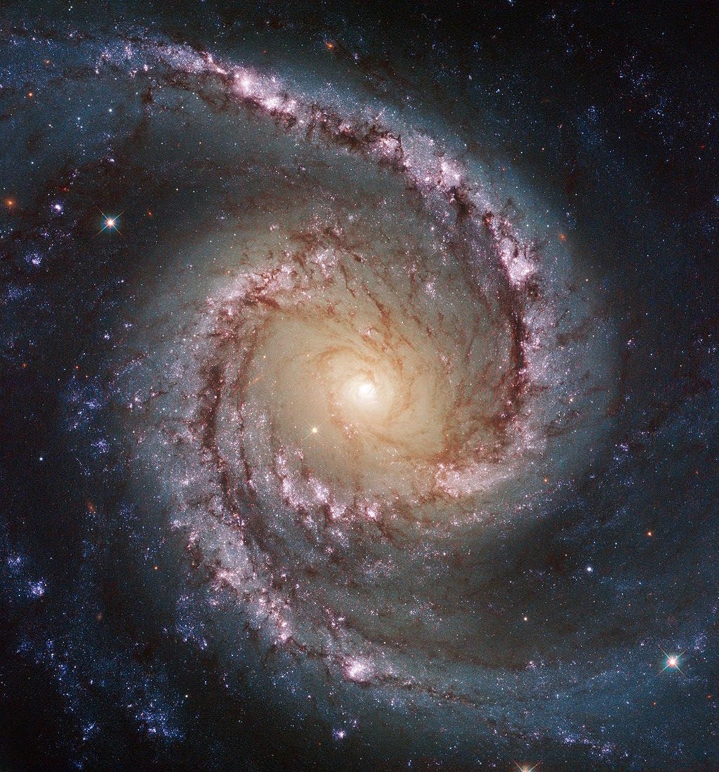 Hubble NGC 1566