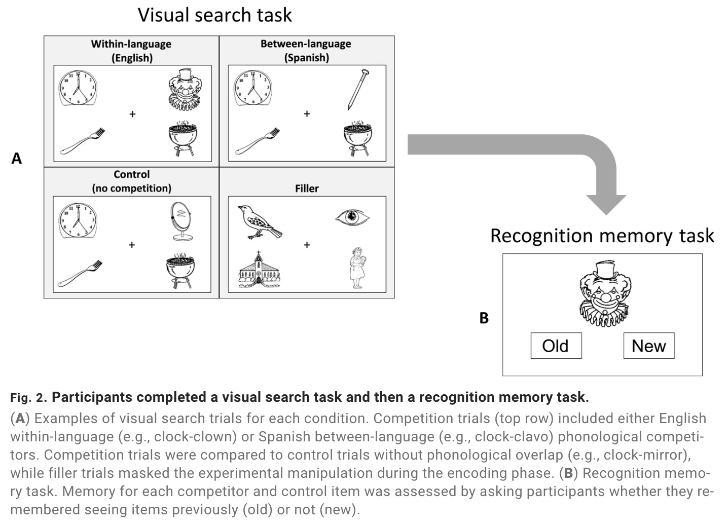 A diagram showing the process of visual search and memory task.