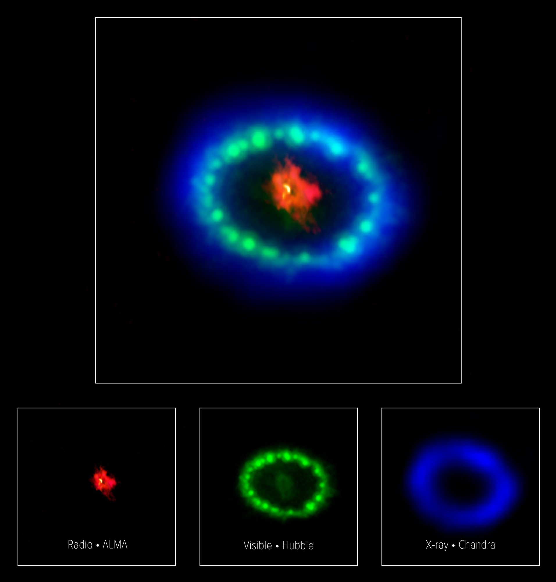 ALMA multiwavelength SN 1987a remnant
