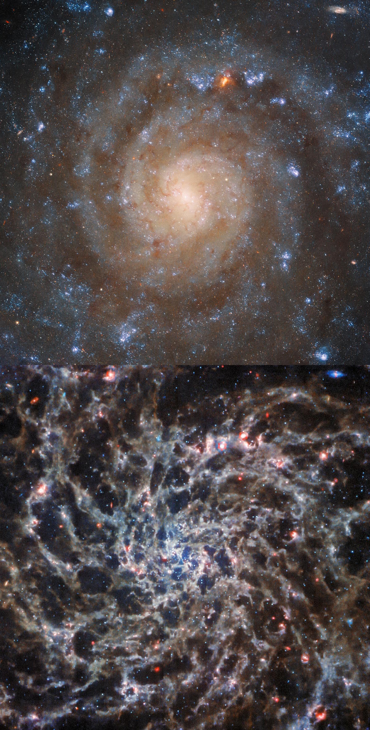Spiral galaxy IC 5332 Hubble JWST