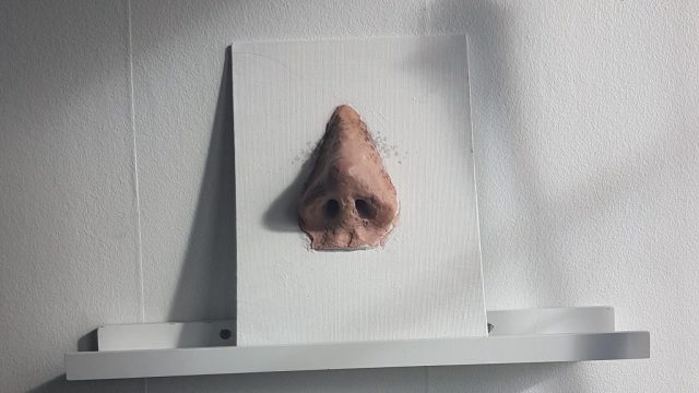 A picture of a nose on a shelf.