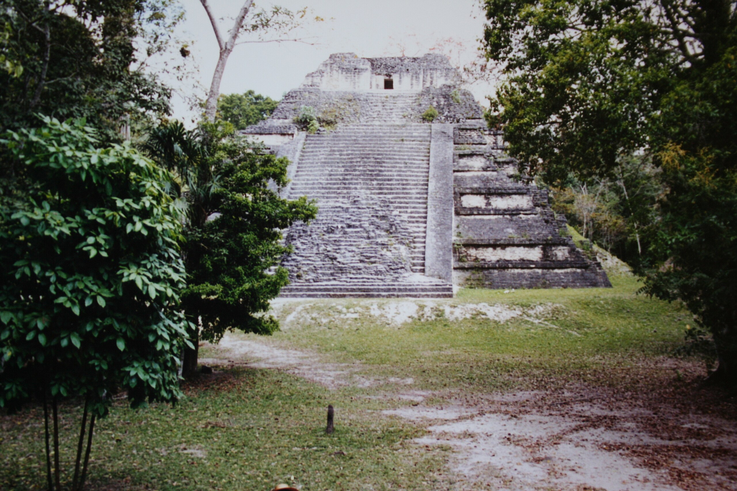 A Tikal pyramid
