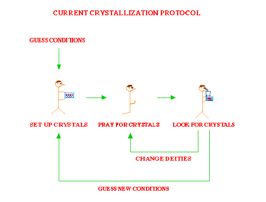 A diagram of the current crystallization protocol.